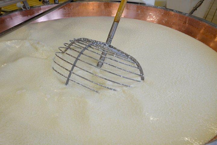 Reggio Emilia: Parmigiano Reggiano Cheese Tour & Tasting
