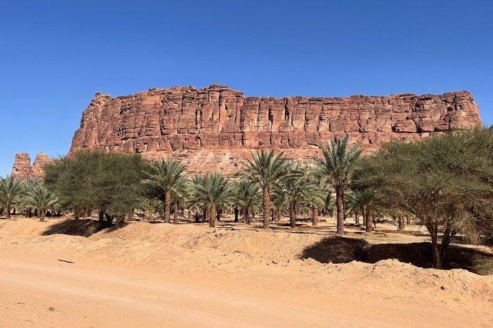 Discover AlUla: Elephant Rock, Hidden Gems & More