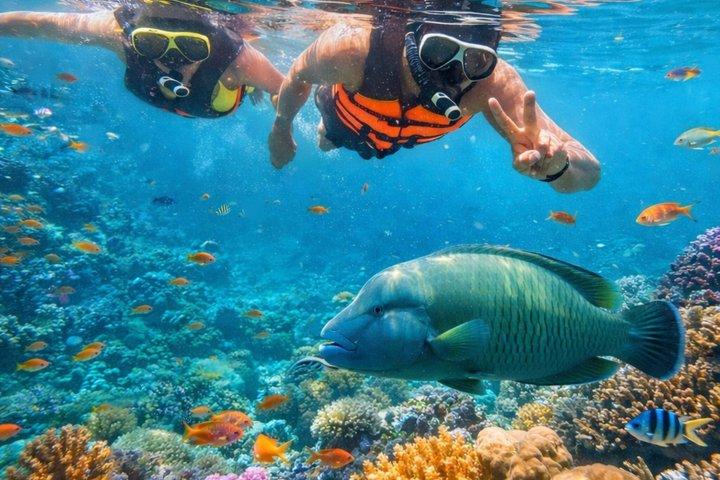 サムイ島：アントン国立海洋公園42島スピードボートツアー
