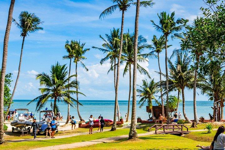 サムイ島：ビッグボートでアントン国立海洋公園へ日帰り旅行