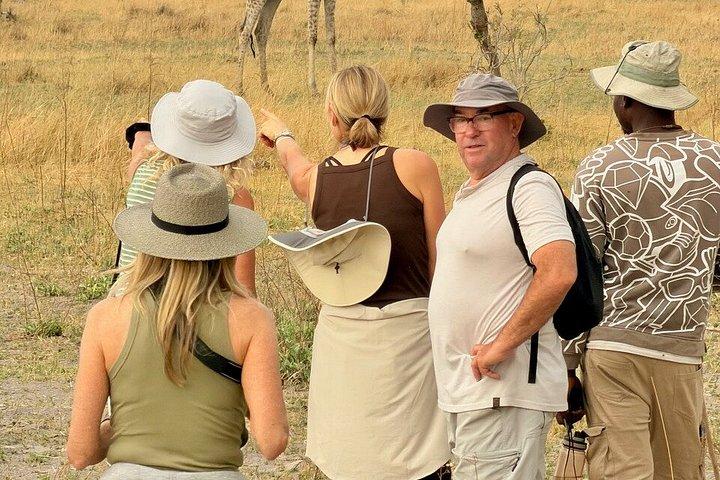 2 nights 3 days Overnight Mokoro Trail Okavango delta