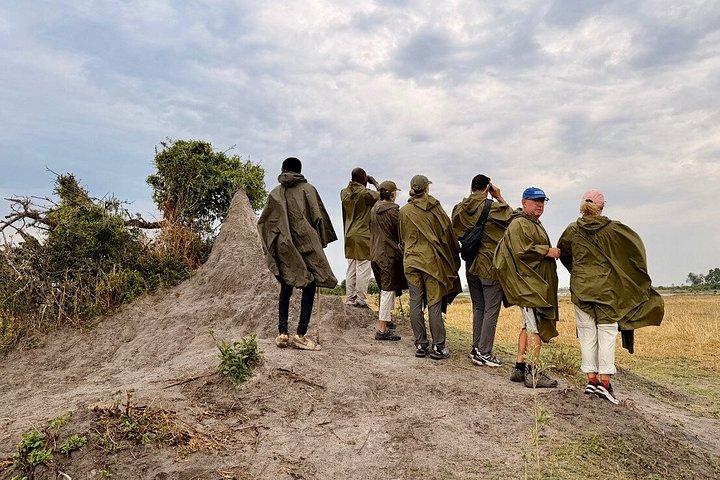 Mokoro Full Day Trip-Okavango Delta