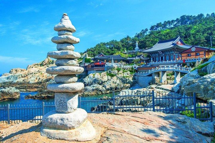 (Ida y vuelta garantizada) Excursión en tierra de Busan para los huéspedes del crucero