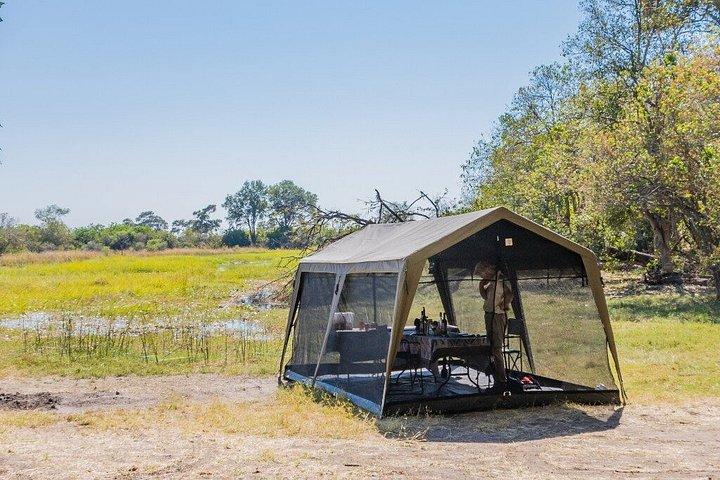 6 Nights 7 days Zebra Trail Moremi