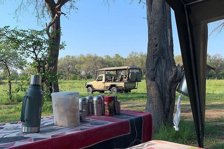 6 Nights 7 days Zebra Trail Moremi