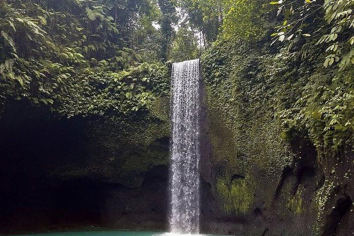 Ubud Temple de l'eau de source sainte, terrasse de riz et visite de cascade