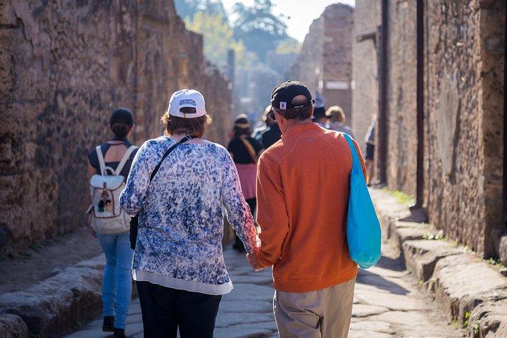 新しい発掘地のあるローマからポンペイ日帰り旅行