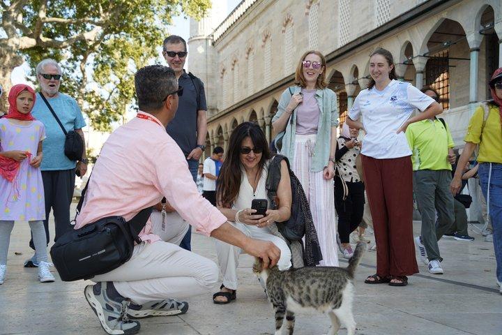 Bespoke Istanbul Tour with Guide and Skip-the-Line Entries