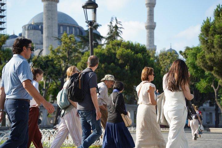Bespoke Istanbul Tour with Guide and Skip-the-Line Entries