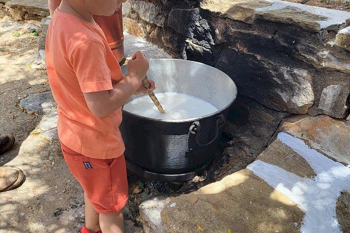 Naxian Farm Experience with hands on Cheese Making activity