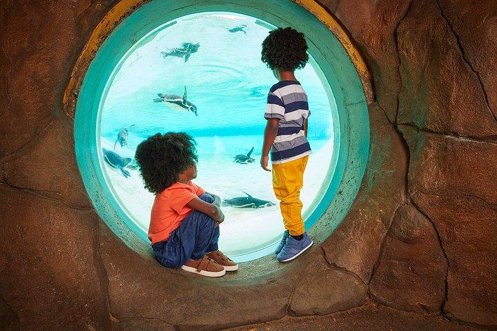 London Zoo Entry Billet