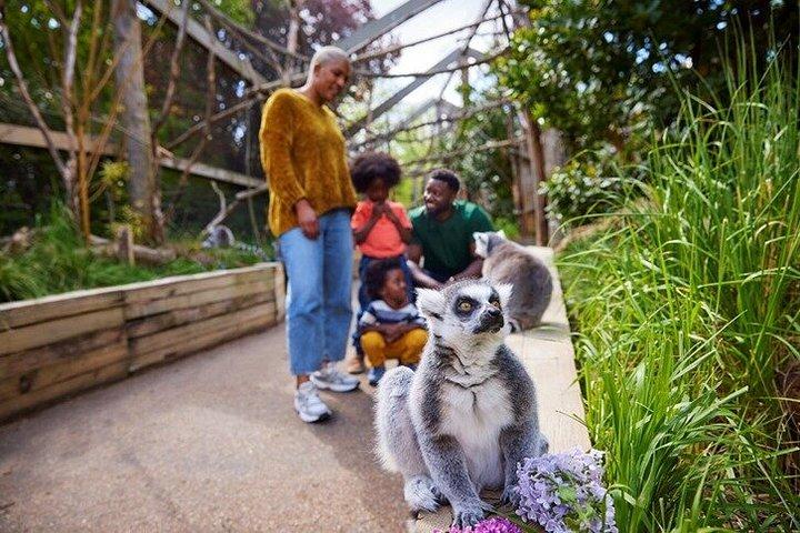 London Zoo Entry Billet