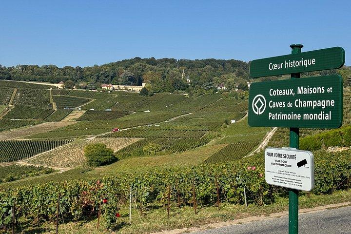 Exklusiv Champagne Cellars & Dom Perignon vingårdstur - Reims