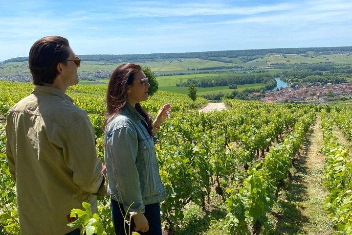 Exklusive Champagnerkeller & Dom Perignon Vineyards Tour - Reims