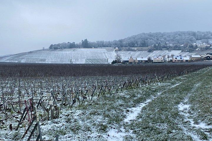 Exklusiv Champagne Cellars & Dom Perignon vingårdstur - Reims