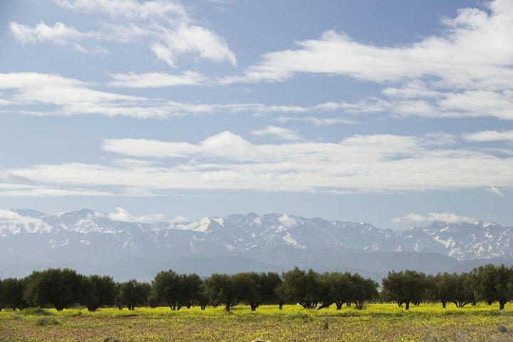 Dagstur til Ourika Valley fra Marrakech