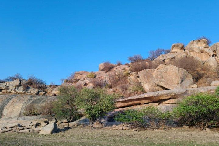 Udaipur - Jodhpur Jawai Safari, Ranakpur & Khumbhalgarh Fort Touren