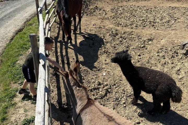 ワイン愛好家と非飲酒者のための家族向けトスカーナ日帰りツアー