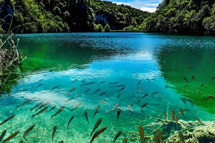 Privat dagstur til Plitvice Lakes fra Split