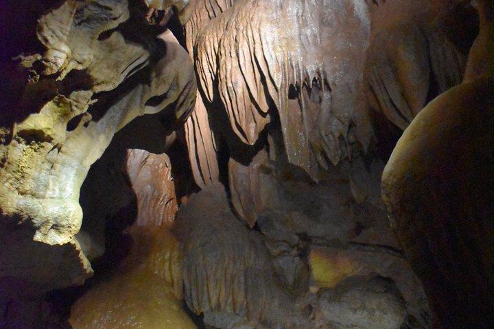 サンホセ洞窟群海岸小旅行（ボートツアーと港ピックアップ付き）