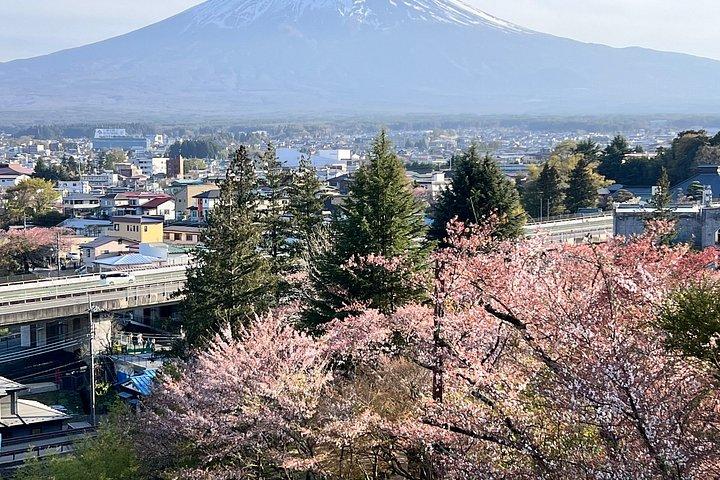 英語ドライバー/ガイド付き富士山/箱根プライベートカーツアー