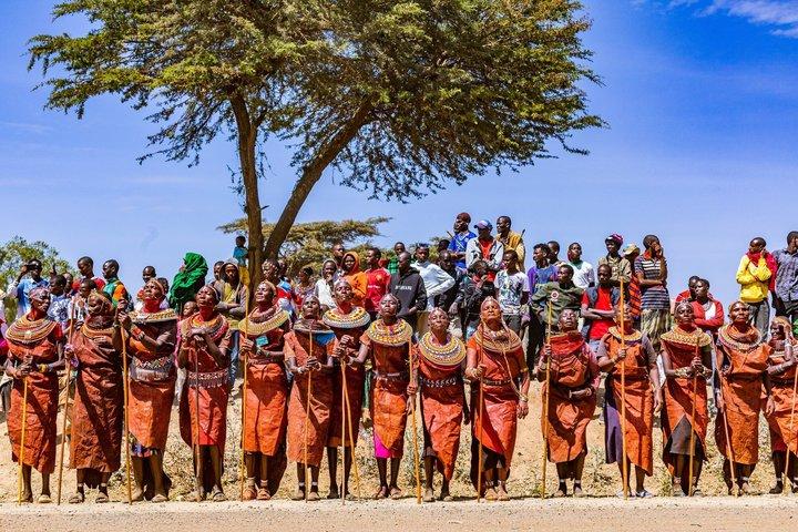 Découvrez les traditions Massaï lors d'une visite privée de village