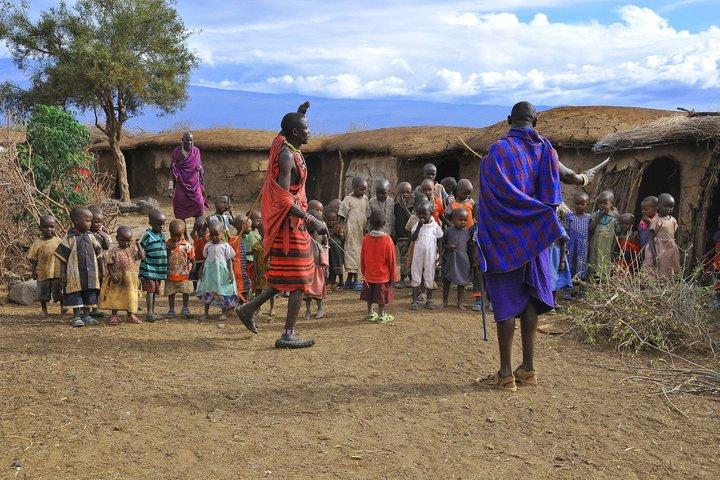 Découvrez les traditions Massaï lors d'une visite privée de village