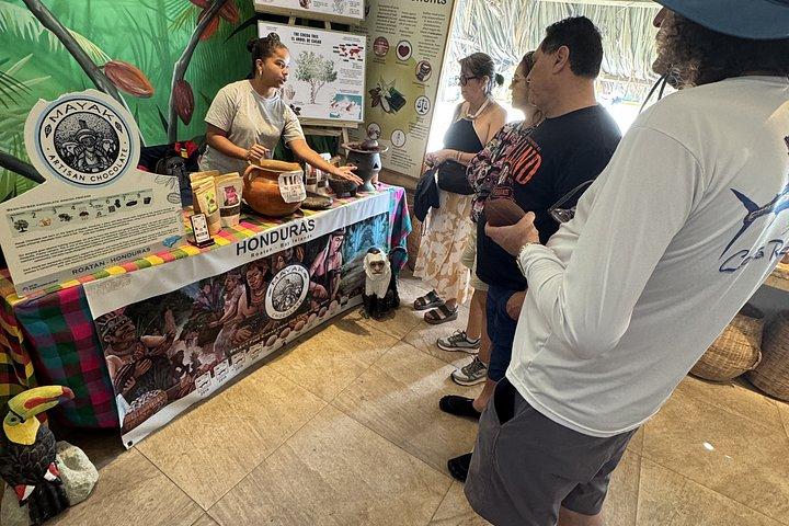 Roatan City Tours