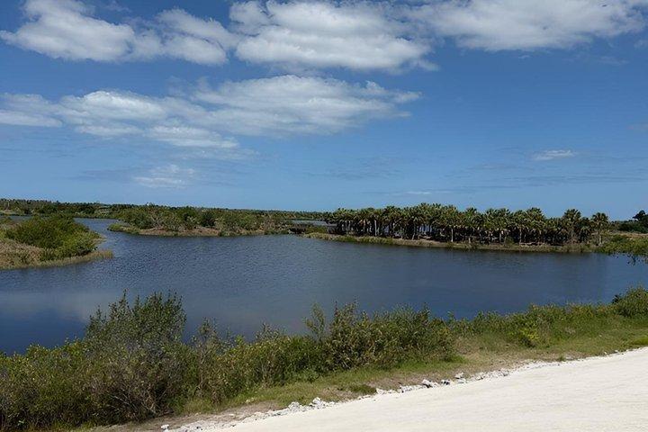 Robinson Preserve Tour guidato in kayak di 2 ore