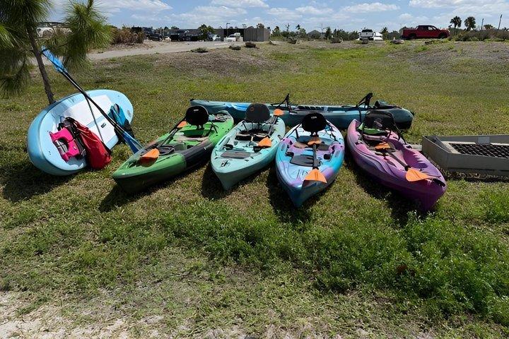 Visite guidée de 2 heures en kayak Robinson Preserve
