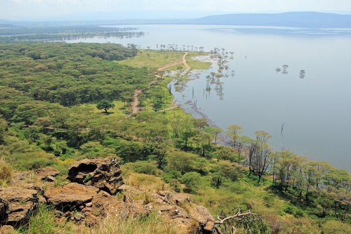 ナイロビ〜ナクル湖プライベートサファリ日帰り旅行