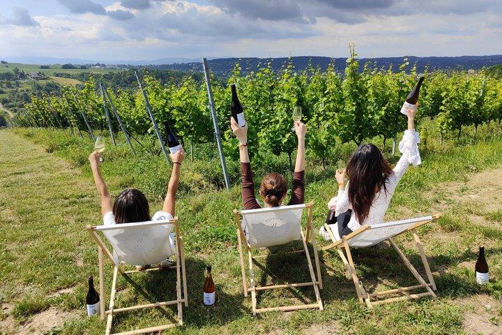 ヴィエリチカ ヴィンヤード: ワインの試飲と地元の軽食
