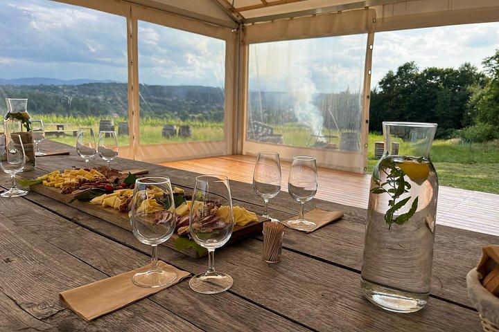 ヴィエリチカ ヴィンヤード: ワインの試飲と地元の軽食