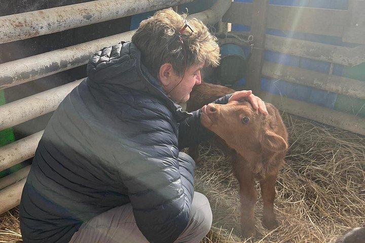ヴィエリチカ ヴィンヤード: ワインの試飲と地元の軽食