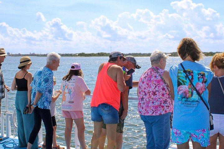 St. Augustine Dolphin Watch och Historical Harbor Sail