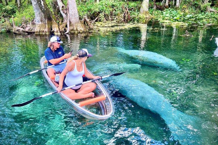Silver Springs Clear Kayak Tour – Manatees & Monkeys Tour