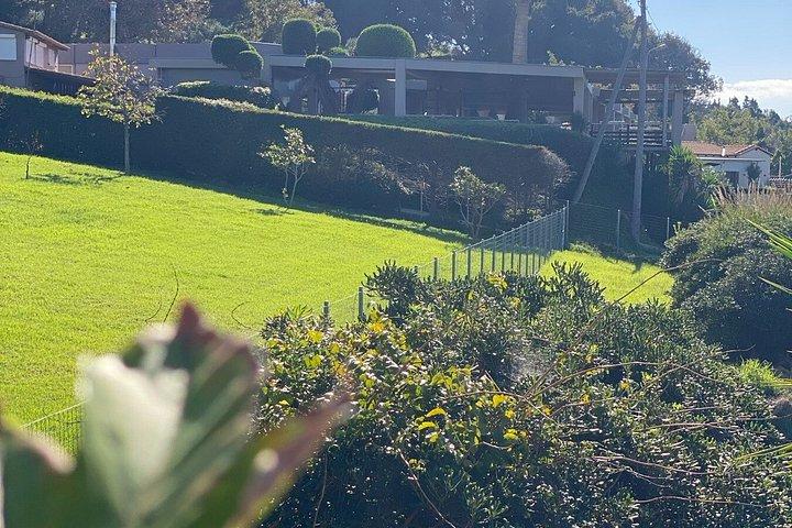 Tour privato e pranzo greco a Olimpia