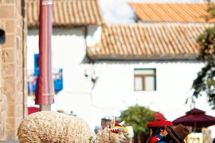 マチュピチュへの神聖な旅路 インカトレイルの代替案