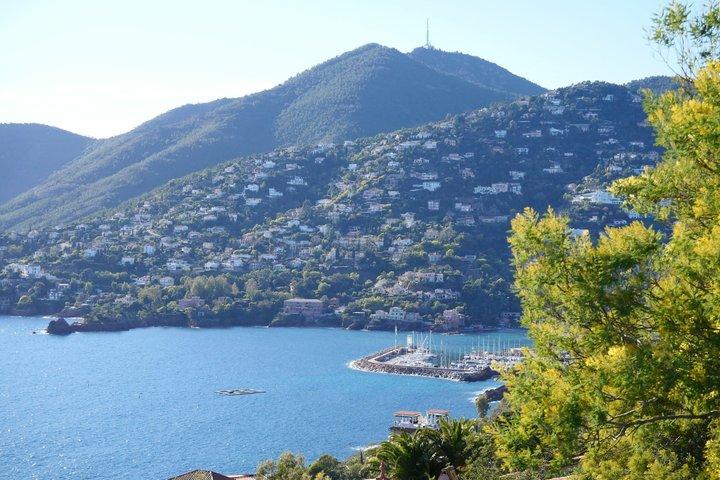 Gemeinsame Tour in kleiner Gruppe nach Saint-Tropez