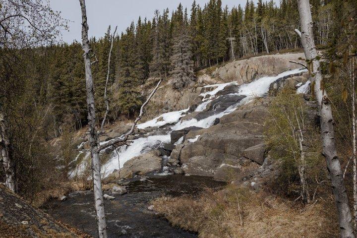 Cameron Falls Tour Randonnée en cascade personnalisée