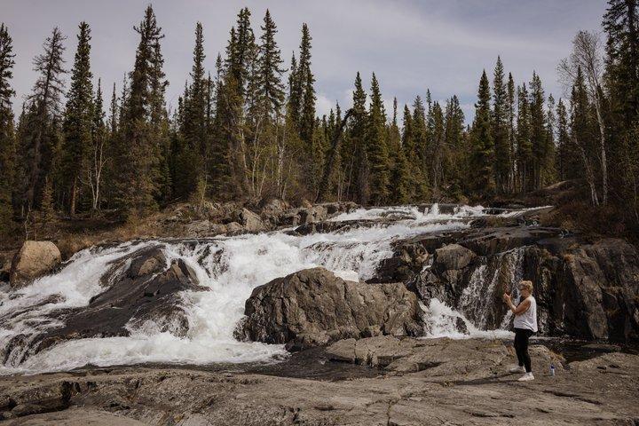 Cameron Falls Tour Randonnée en cascade personnalisée
