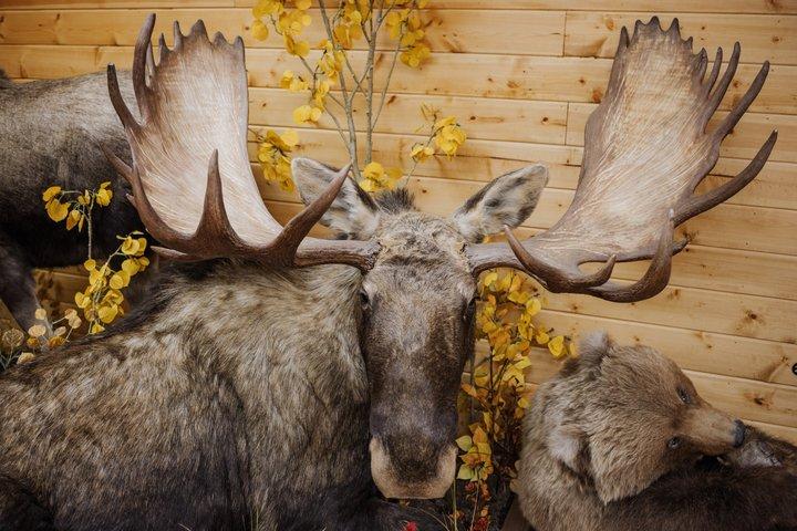 Yellowknife Bucket List City Tours