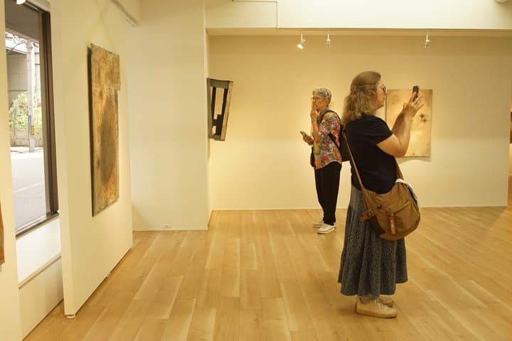 Not Your Typical Osaka Tour — Hidden Art Galleries & Local Lunch