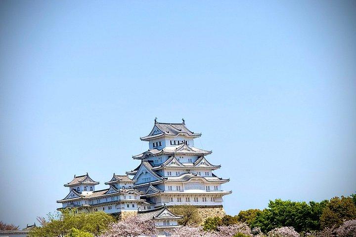 英語ドライバーと専用車による神戸＆姫路ツアー