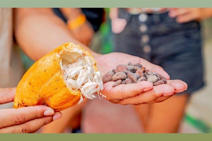 Punta Cana ATV Buggy Off Road Adventure Tour