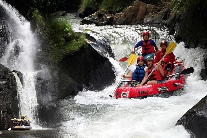 Ayung River Rafting e Aloha Swing Adventure con pranzo a Bali