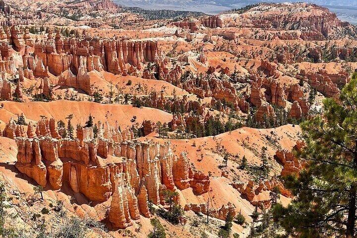 Privat tur til Zion & Bryce Canyon National Parks fra Las Vegas