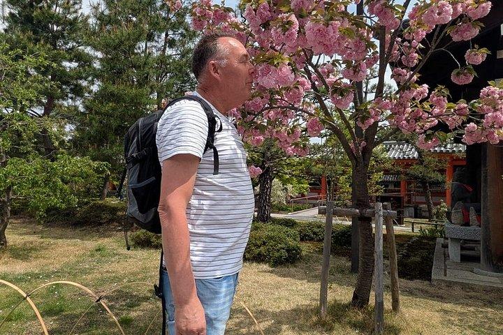京都: 1,001体の三十三間堂の観音像