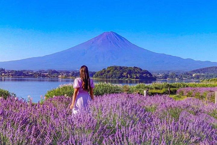 東京から：富士山日帰り旅行でトレンディスポットへ
