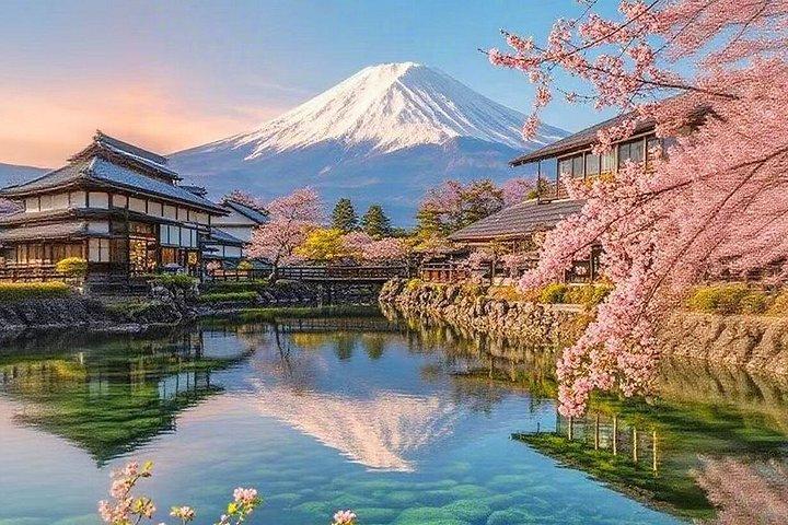 東京から：富士山日帰り旅行でトレンディスポットへ